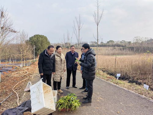 中藥材所栽培團(tuán)隊赴武漢市林業(yè)工作站開展合作交流